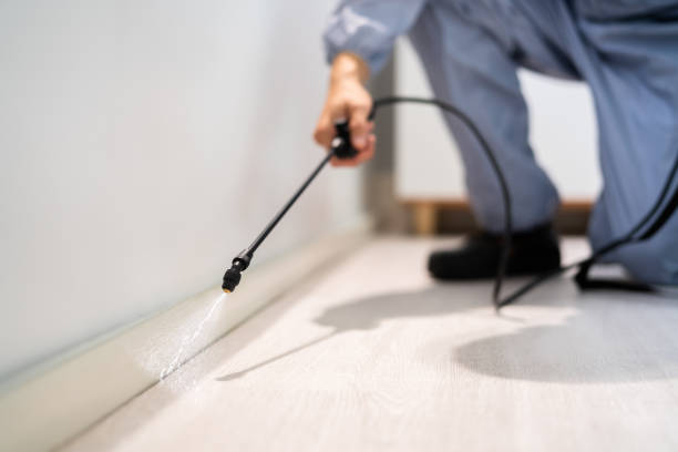 Certified termite inspector examining foundation in League City